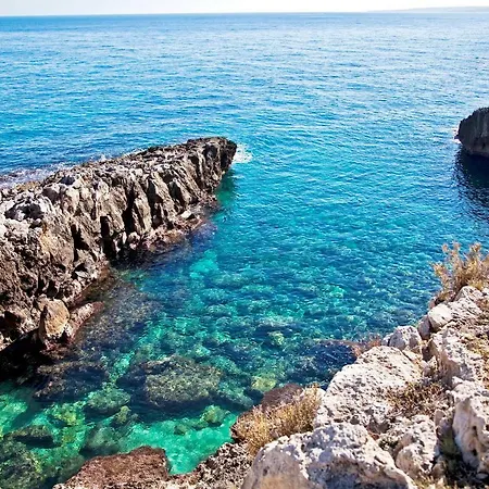 Bed Cafe Holiday home Syracuse