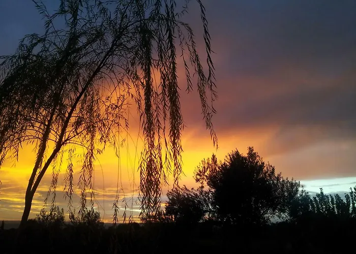 Bed Cafe Holiday home